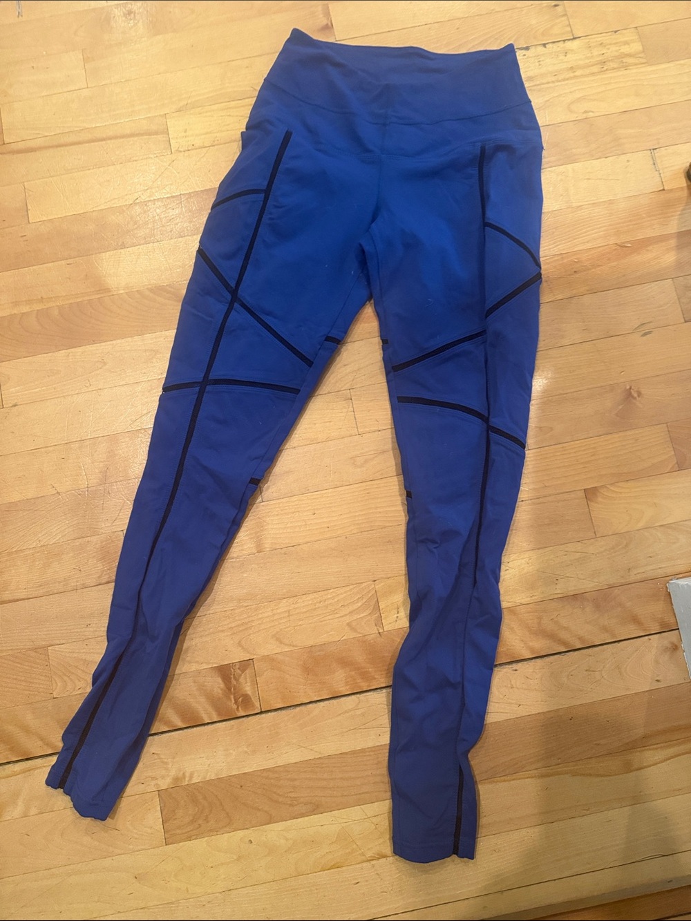 Karma Royal Blue Leggings with Black Trim